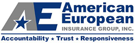 American European Insurance Group